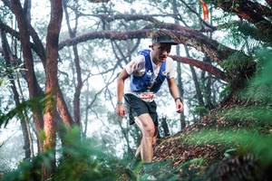 BIB: 
                            <button type="button" onclick="openModal(26295187)" class="btn btn-primary btn-sm float-right btn-popup" data-toggle="modal" data-target=".modal-high-quality">
                        <i class="fas fa-shopping-cart"></i> Add to Cart
                    </button>
                                            <button type="button" onclick="isThisMe(26295187, true)" class="btn btn-success btn-sm float-right btn-popup btn-isme hidden" data-toggle="tooltip" data-placement="bottom" title="นี่คือรูปของคุณใช่ไหม คลิกที่นี่เพื่อเอาเข้าอัลบั้ม">
                        <i class="fas fa-plus"></i> Add to album
                    </button>
                    <button type="button" onclick="isThisMe(26295187, false)" class="btn btn-warning btn-sm float-right btn-popup btn-isnotme hidden">
                        <i class="fas fa-ban"></i> Remove from album
                    </button>